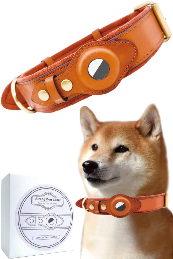 Amazon | AirTag 犬用 首輪 革 茶 S サイズ 【 中型犬